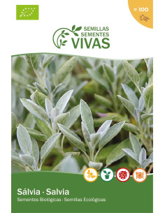 Sementes Vivas Sálvia 1G