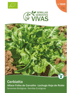Sementes Vivas Alface Cerbiatta 1G