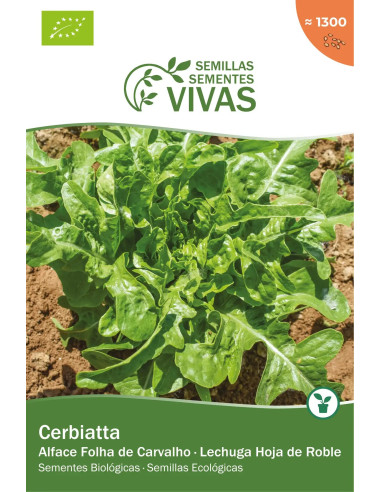Sementes Vivas Alface Cerbiatta 1G