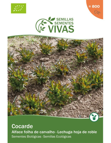Sementes Vivas Alface Cocarde 1G