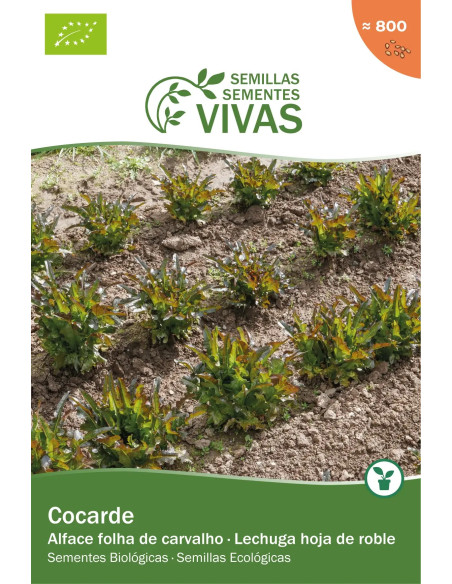 Sementes Vivas Alface Cocarde 1G Sementes Vivas Alface Cocarde 1G