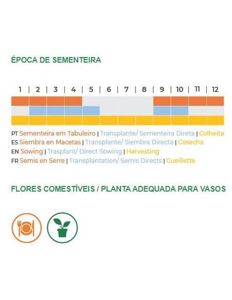 Sementes Vivas Rúcula Esmee 4G Sementes Vivas Rúcula Esmee 4G
