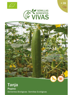Sementes Vivas Pepino Tanja 35 Sementes