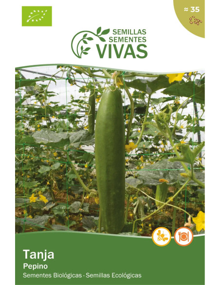 Sementes Vivas Tanja Cucumber 35 Seeds Sementes Vivas Tanja Cucumber 35 Seeds
