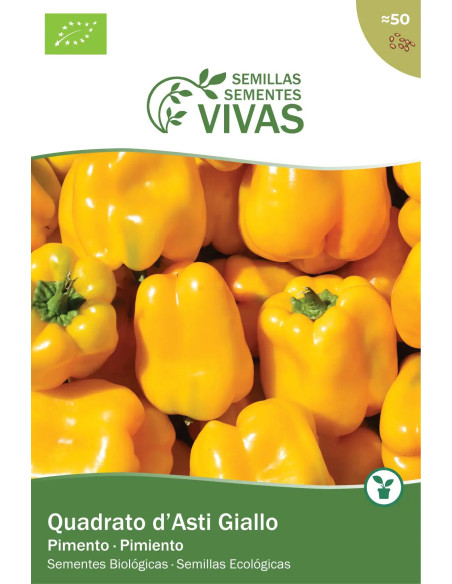 Sementes Vivas Sweet Chocolate Pepper 50 Seeds Sementes Vivas Sweet Chocolate Pepper 50 Seeds