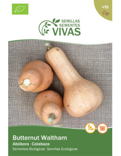 Sementes Vivas Abóbora Butternut Waltham 15 Sementes