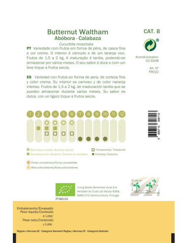 Sementes Vivas Waltham Butternut Squash 15 Seeds