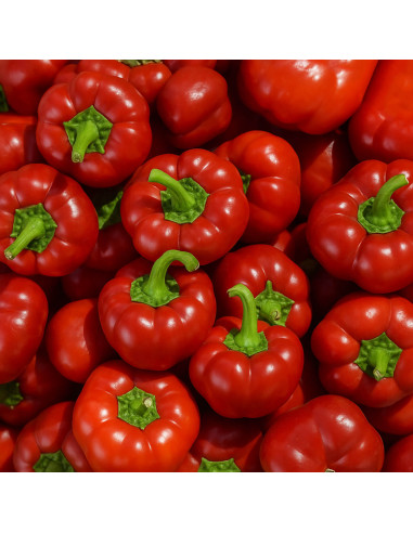 Sementes Vivas Sabugal Pepper 50 Seeds