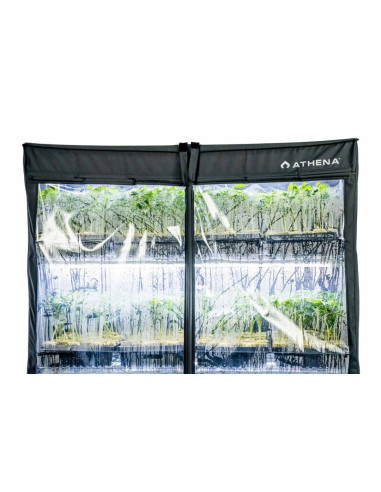 Athena VPDome (rack de propagação)