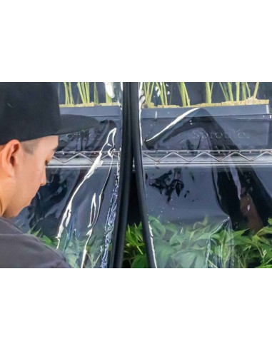 Athena VPDome (propagation rack)