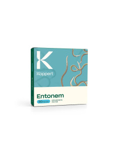 Koppert Entonem 50 (Steinemema feltiae) Nématodos Predadores