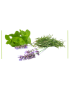 Herbs