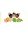 Leguminosas