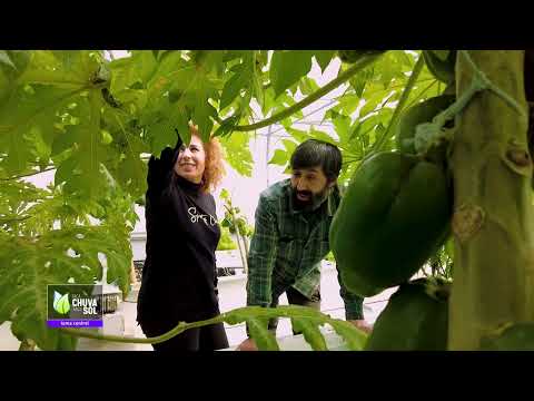 Reportagem Faça Chuva Faça Sol sobre utilização da Água