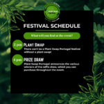 Activities that will take place during the afternoon, at the Festival Plant Swap Portugal